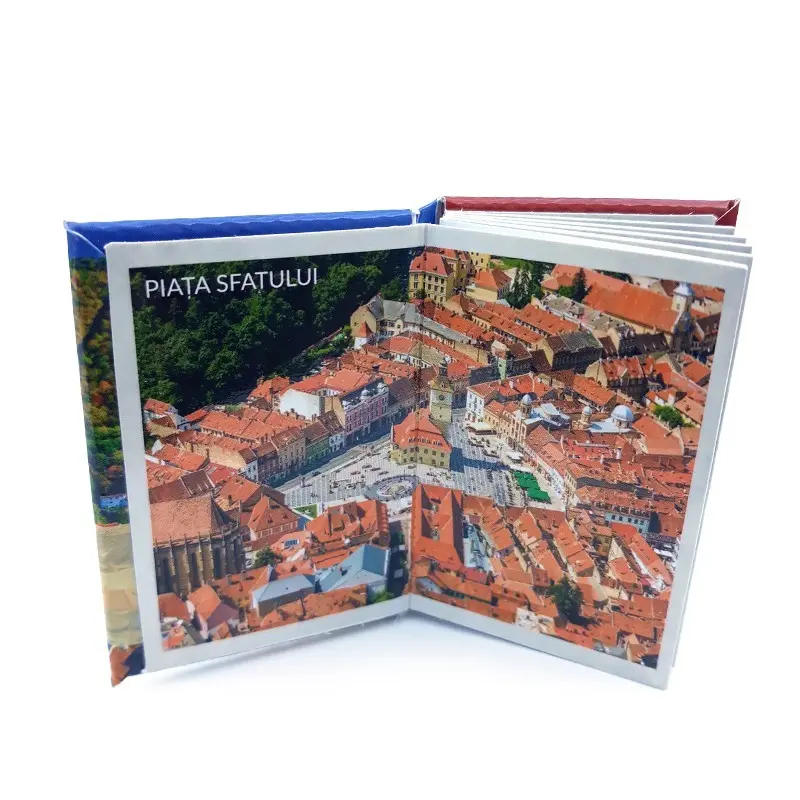 Brasov, magnet carte bilingv